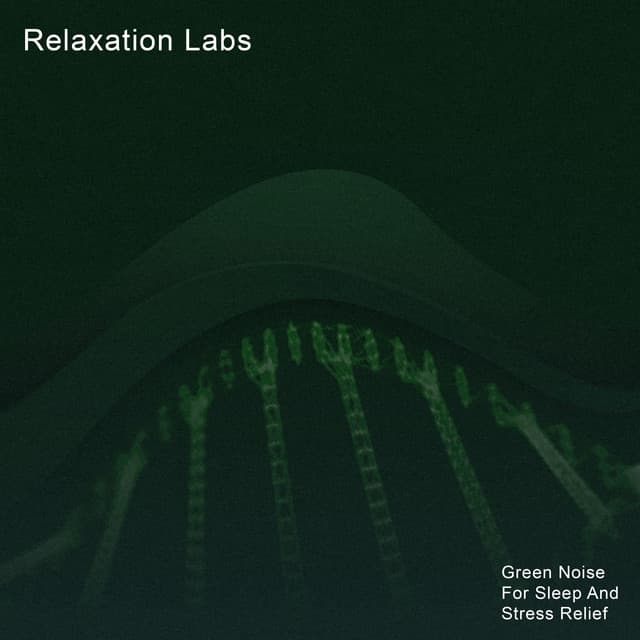 Relaxation Labs