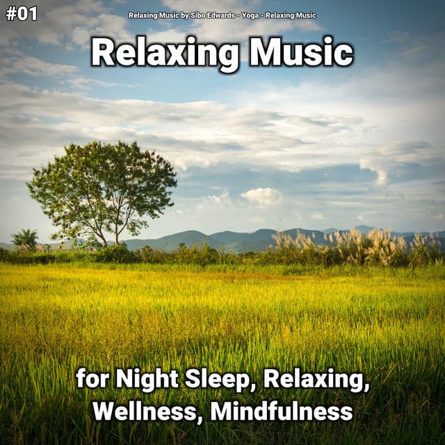 Relaxing Music by Sibo Edwards