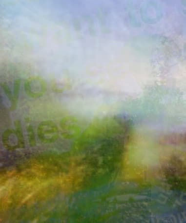 reverie