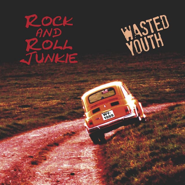 Rock And Roll Junkie