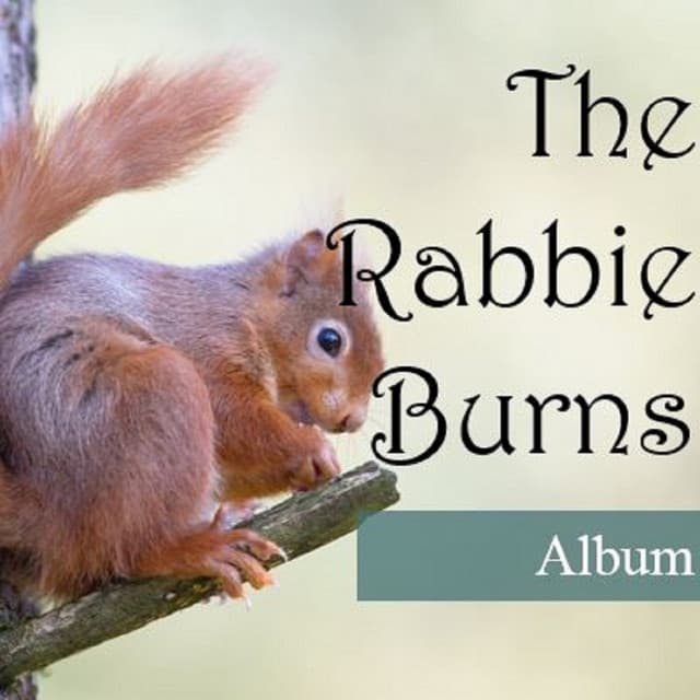Rockburn, Celtic Spirit
