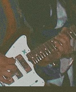 Romulus Wolf