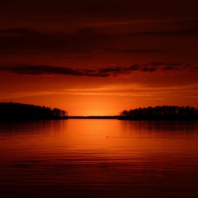 Rouge Haven