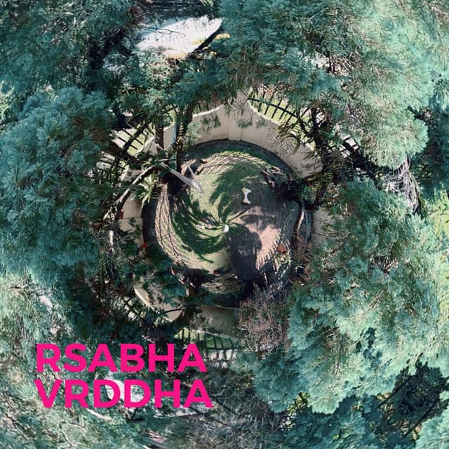 Rsabha