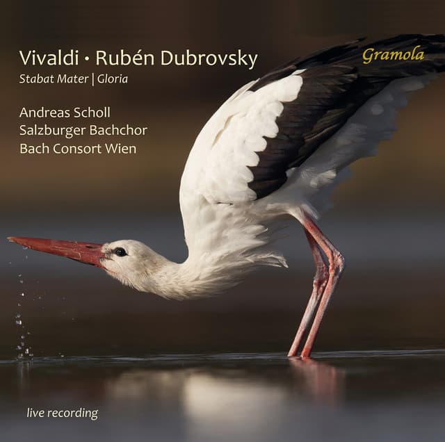 Ruben Dubrovsky
