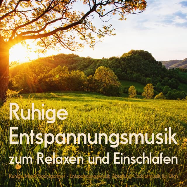 Ruhige Musik Baumgartner