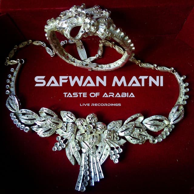 Safwan Matni