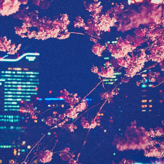 Sakura Cherry