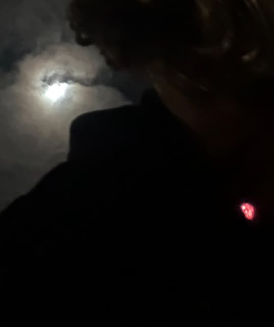 Saltyngget
