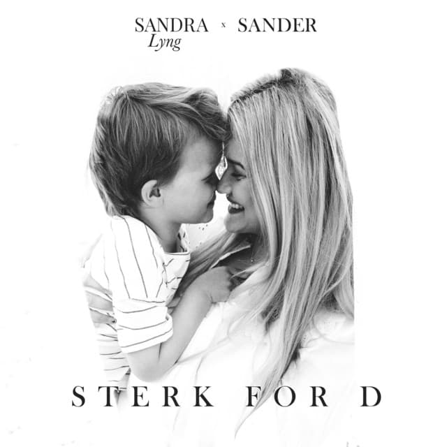 Sander