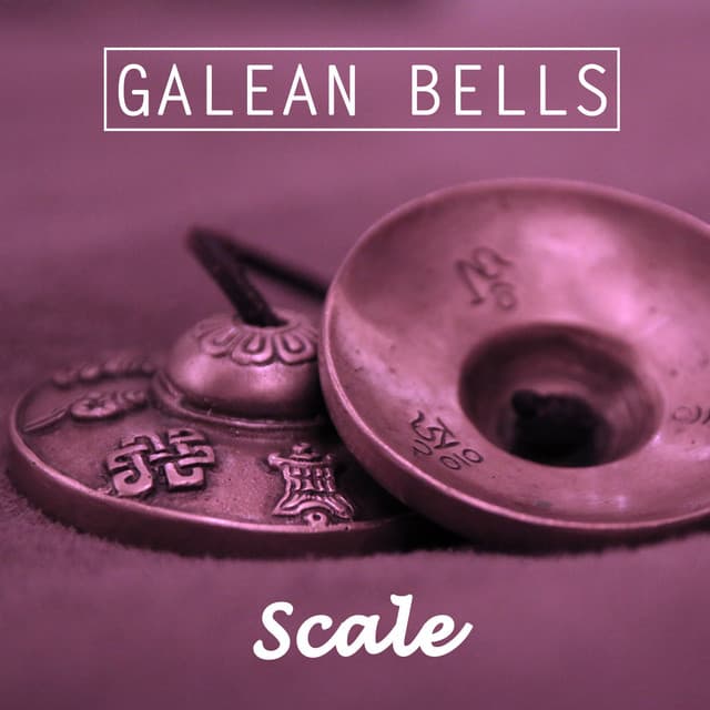 Scale