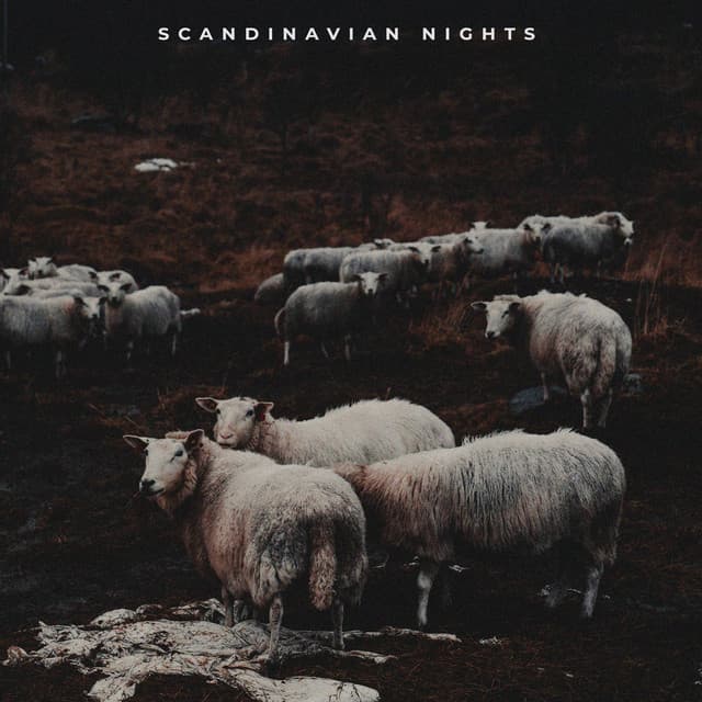 Scandinavian Nights