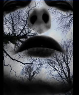 Scott Baker Graham