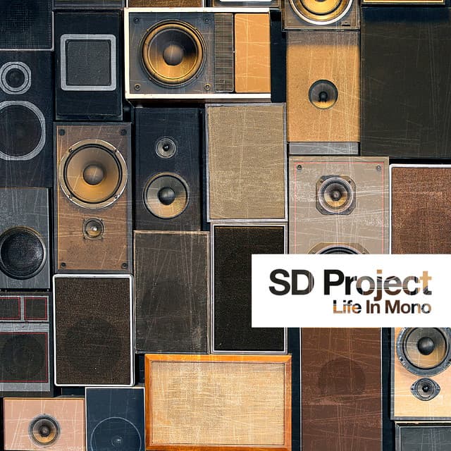 SD Project