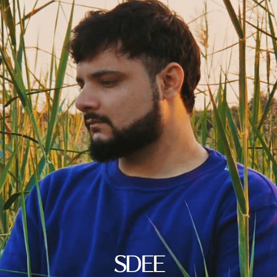 SDEE