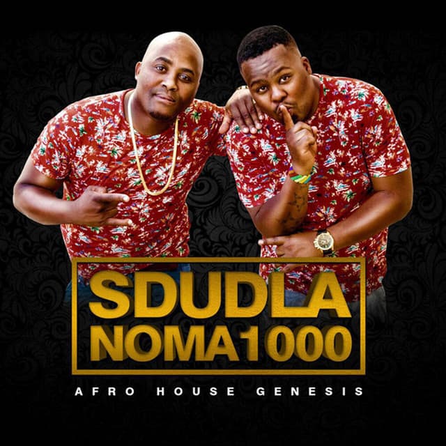 Sdudla Noma1000