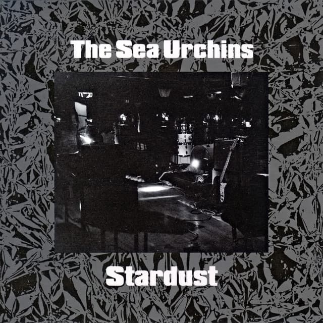Sea Urchins