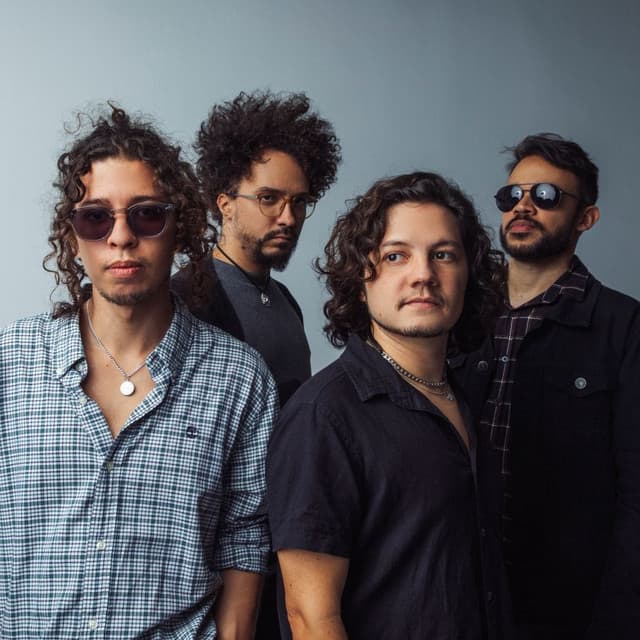 Selvagens à Procura de Lei