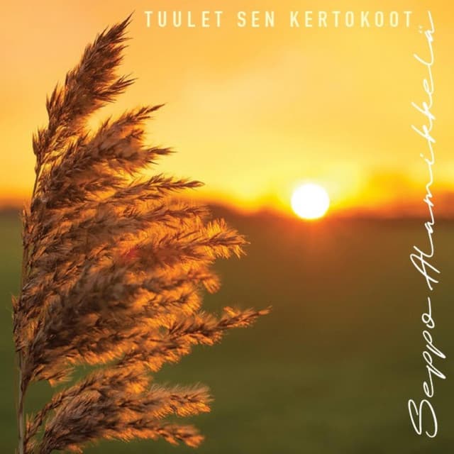 Seppo Alamikkelä