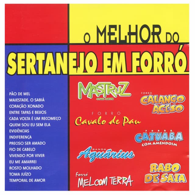 Sertanejo em Forró