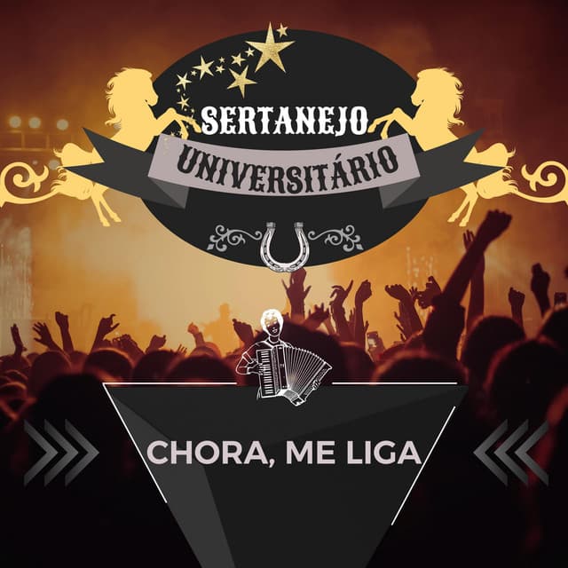 Sertanejo Universitário