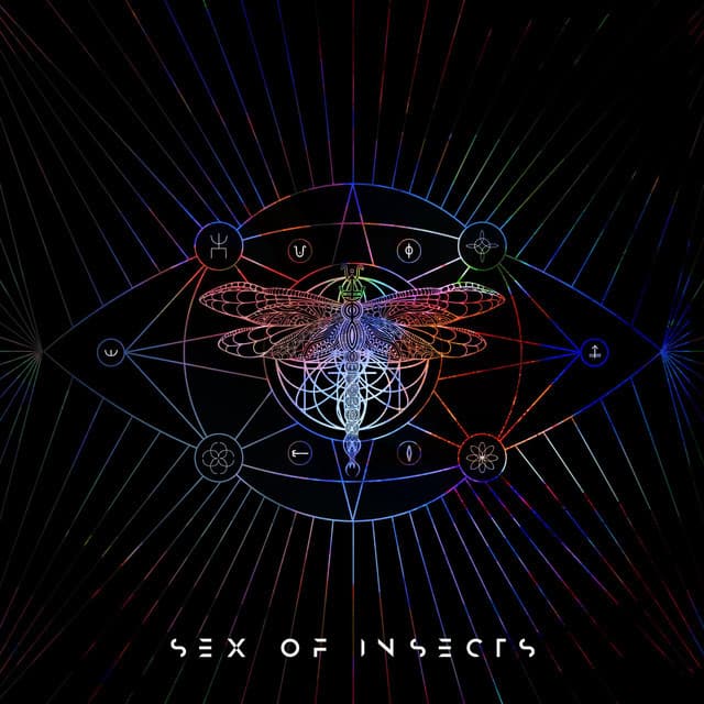 Sex Of Insects