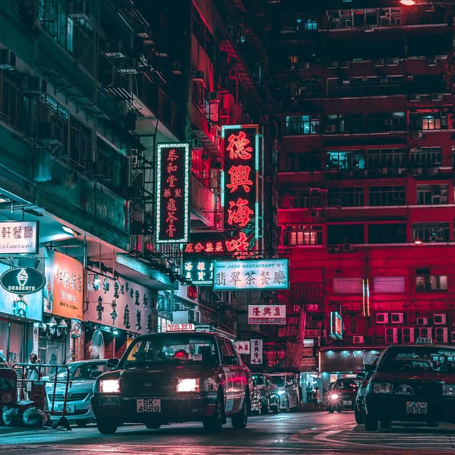 沙漠鱿鱼