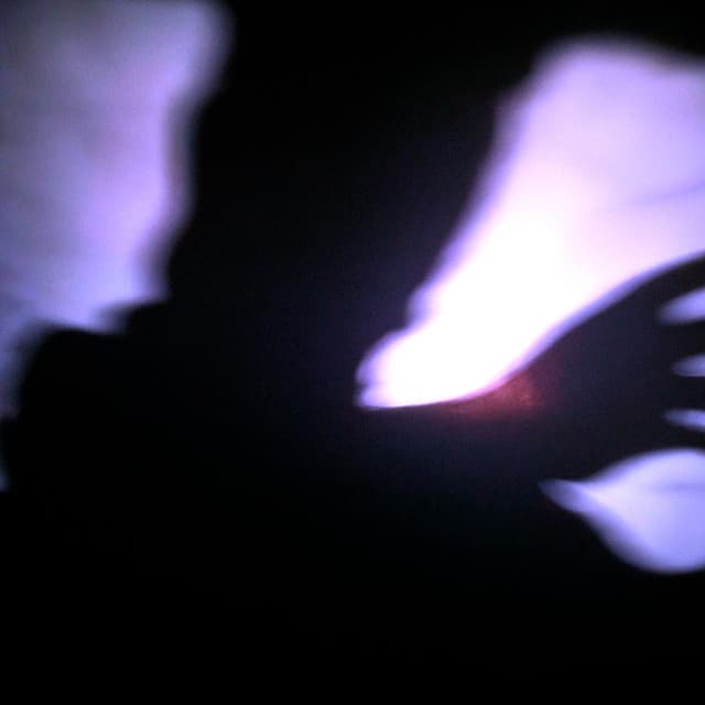 Shadow People