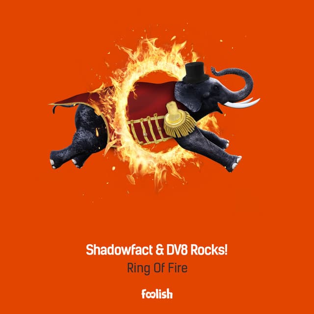 ShadowFact