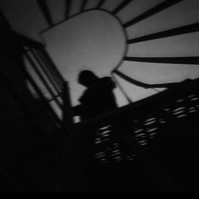 Shadows Hold