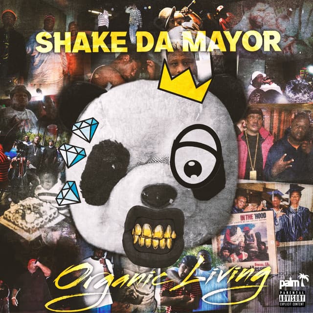 Shake Da Mayor