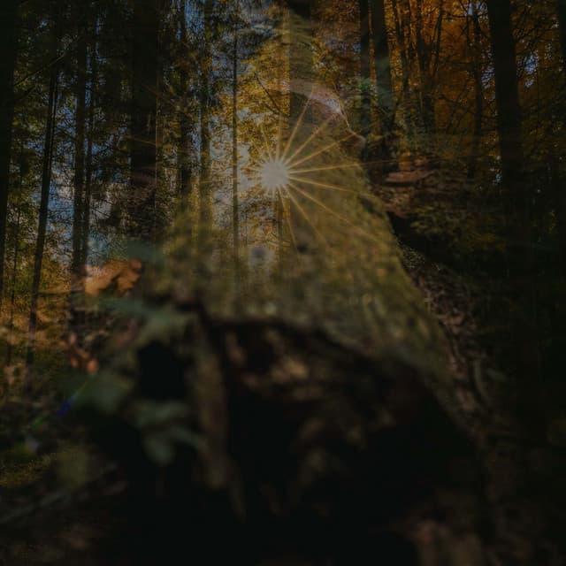 Shamanic Guru