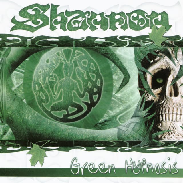 Shannon, Celtic folk-rock band
