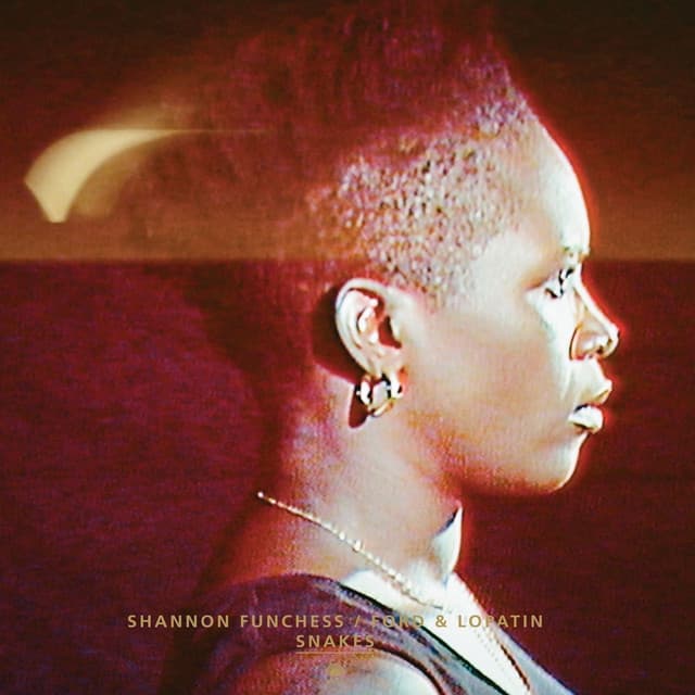 Shannon Funchess