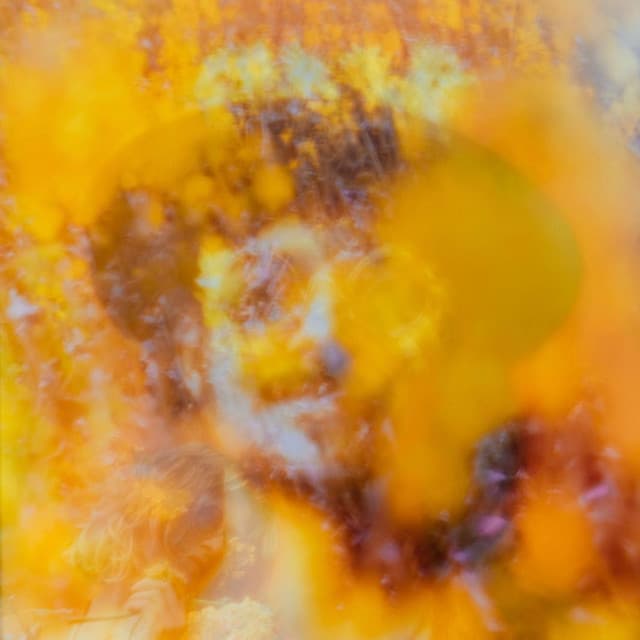 Shorty Jetson and the Lefthands