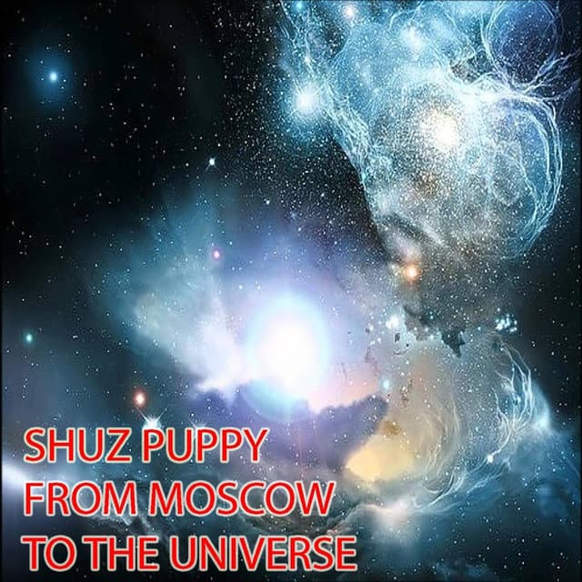 Shuz Puppy