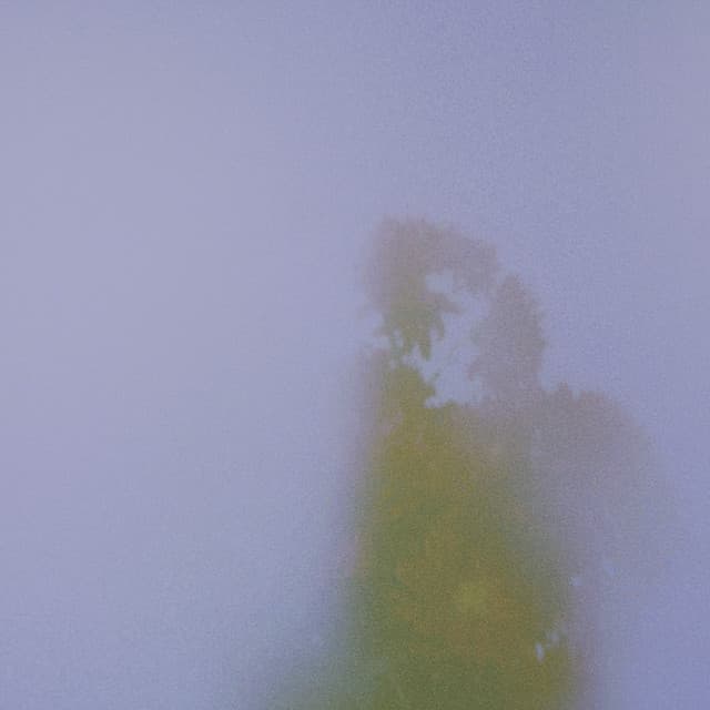 Sidney Hatfield Trio