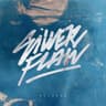 Silver Flaw