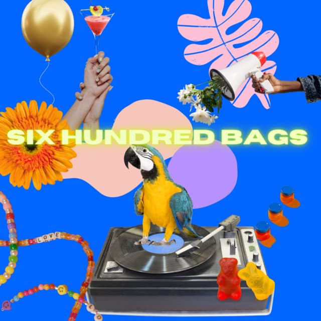 Six Hundred Bags