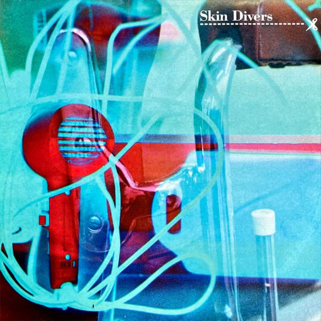 Skin Divers