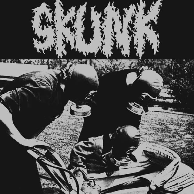 Skunk