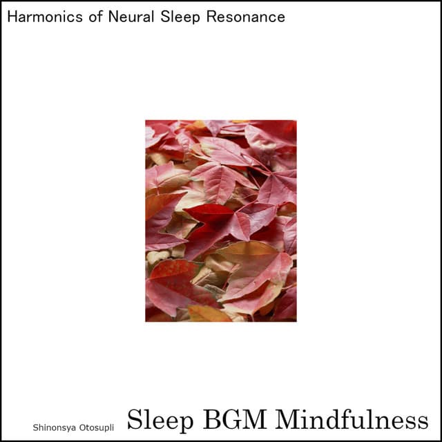 Sleep BGM Mindfulness