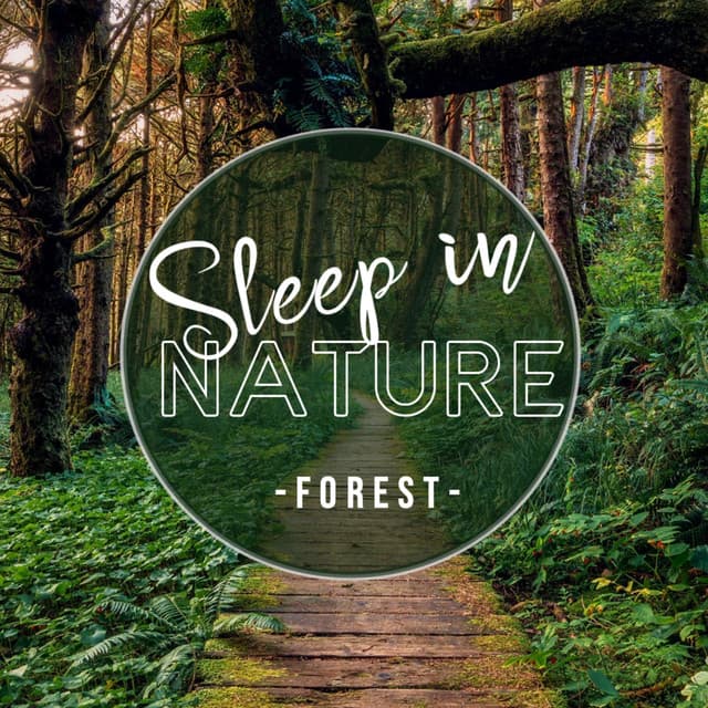 Sleep in Nature