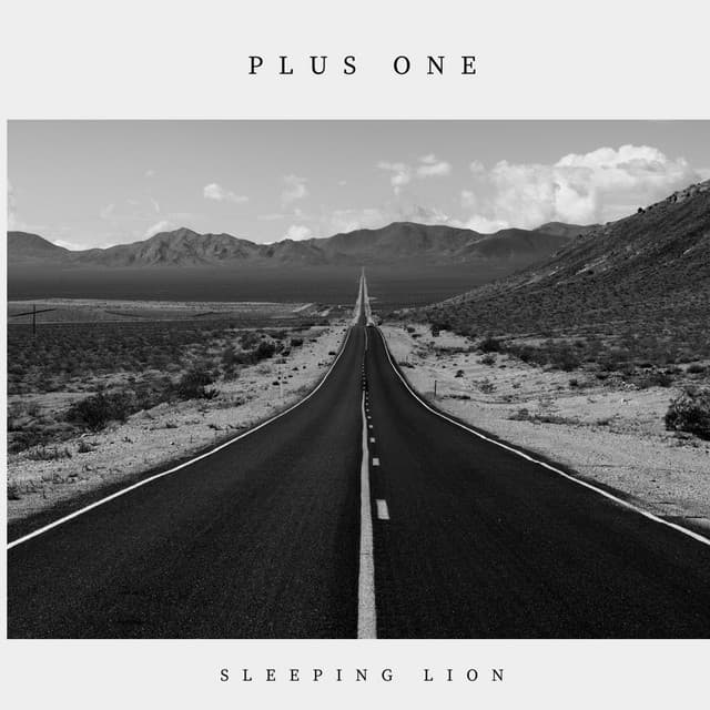 Sleep Lion