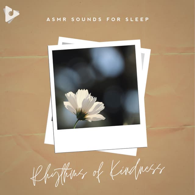 Sleep Music Dream