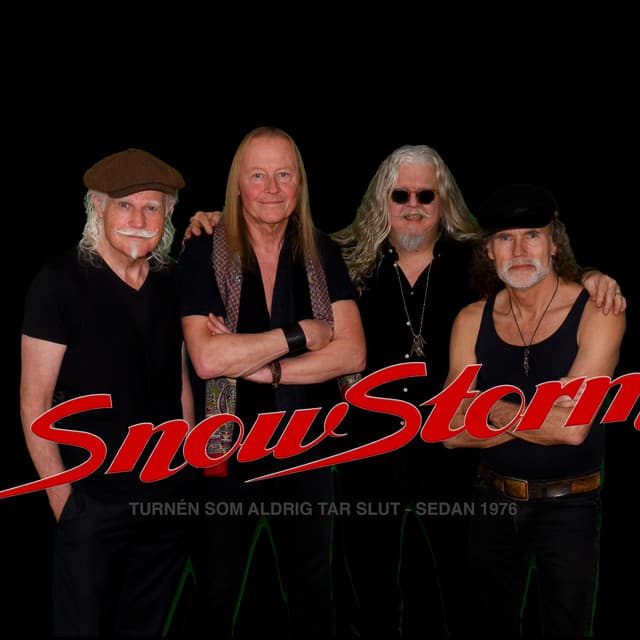 Snowstorm