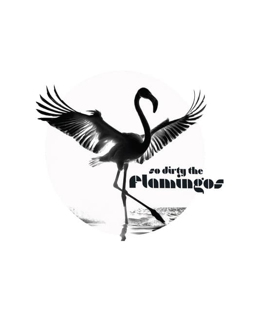 So Dirty the Flamingos