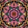 Solfeggio Healing Frequencies MT