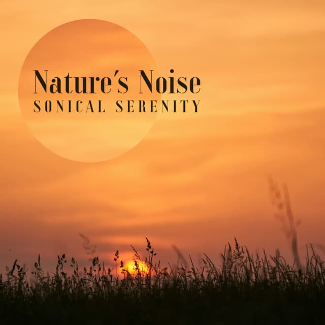 Sonical Serenity