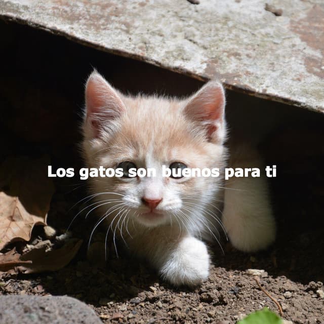 Soulful Smooth Jazz Planet